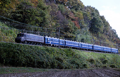 003294.jpg (62494 oCg)